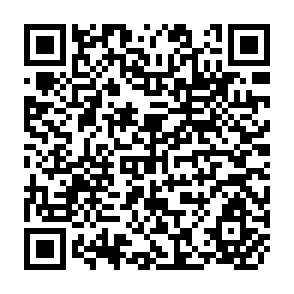 QR Code for India's Development Experience