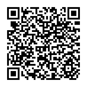 QR Code for The Process And Effects Of Mass Communication