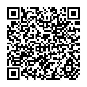 QR Code for The economics of agricultural development
