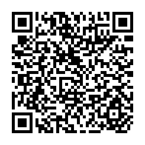 QR Code for The Rice of Modern China