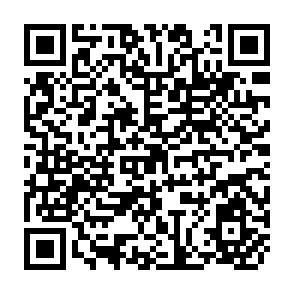 QR Code for Tools for Agriculture- A Buyer's Guide to Low Cost Agricultural Implements