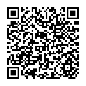 QR Code for Optimal Control and System Theory in Dynamic Economic Analysis
