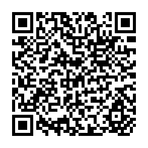 QR Code for Terms of Trade Policy for Primary Commodities