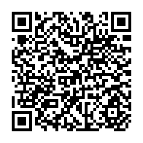 QR Code for The Principles of Economic Planning A Study Prepared for Fabian Society