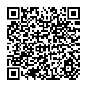 QR Code for The Principles Of Economic Planning
