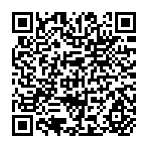 QR Code for Export Processing Zones in Asia: Some Dimensions