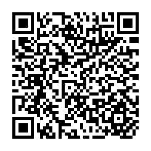QR Code for The Elements of Pictorial Photograph