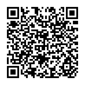 QR Code for Cooperation and integration in agricultural production