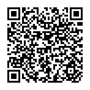 QR Code for The economics and Welfare