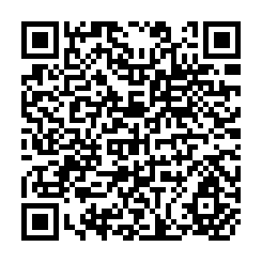 QR Code for Income and Labor Force Participation Rates of Women in the Philippines
