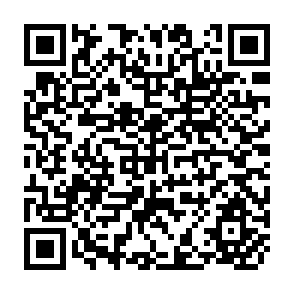 QR Code for Media for Skilis Formation