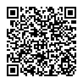 QR Code for Children and Household Economic Activity in Laguna, Philippines