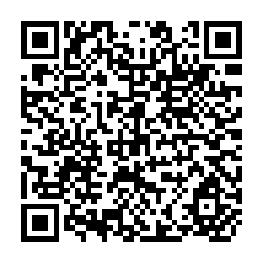 QR Code for Income Distribution in Manila, Luzon, The Visayas And Mundanao