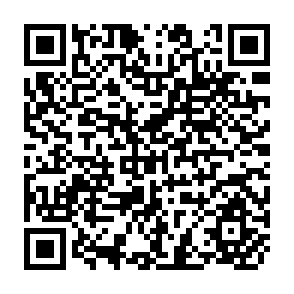 QR Code for The Rich and the Poor Nations