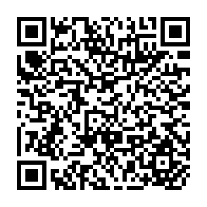 QR Code for Philippine Rural Electrification Revisited