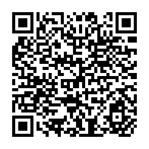 QR Code for The Informal  Services Sector in the Greater Manila Area,1976