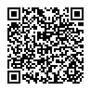 QR Code for The linear Complementarity Problems: Solving Linear and Convex Quadratic Programming problems by Lemke' Algorithm