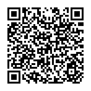 QR Code for The Theory of Unequal Exchange: The End of the Debate?