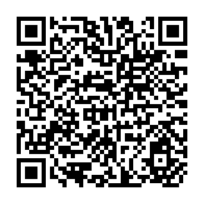 QR Code for The  Kibbutz