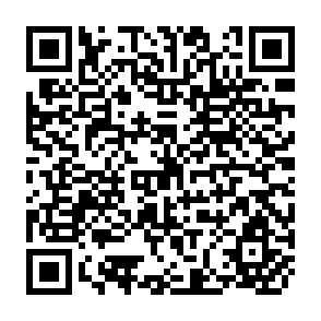 QR Code for The Sociology of Organizational Change