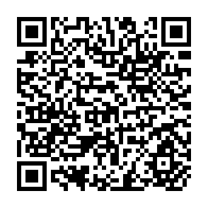 QR Code for Inflation! A Study in Stability