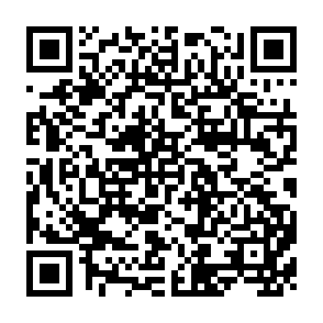 QR Code for The peaple's land