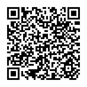 QR Code for Employment, Income Distribution and Development Strategy: Problems of the Developing Countries