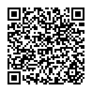 QR Code for Arid Lands in Perspective