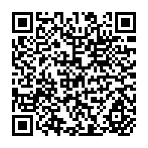 QR Code for Strategic Perspectives on Social Policy