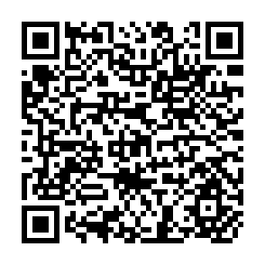 QR Code for Political Economy