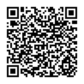 QR Code for The Social Dynamics of Development