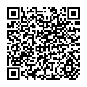 QR Code for The Political Economy of Labor-Capital Relations and the Role of the State:A Preliminary Sketch of Philippine Manufacturing, 1956-1972
