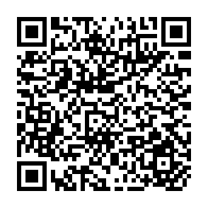 QR Code for Marketing and Work Study
