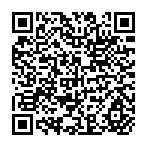 QR Code for The Frontiers of Development Studies