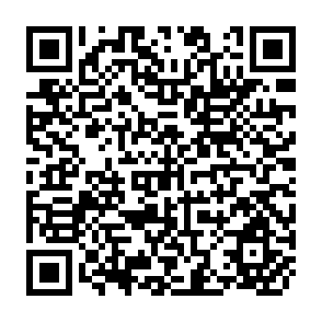 QR Code for No easy harvest