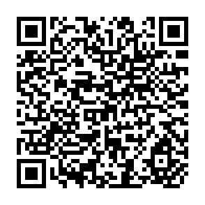 QR Code for The Price of Economic Freedom: A Guide to Flexible Rates