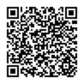 QR Code for Primary Health Care and the Role of Foreign Aid / Health Aid: A Comparative Stydy of Three Donar Countries(Two Papers on Health Aid)