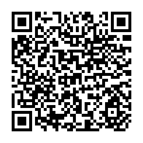 QR Code for Growth Potential of the Beef Sector in Latin America-Survey of Issues and Policies