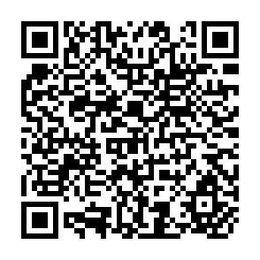 QR Code for Development at a Crossroads: Present Problems, Future Prospects