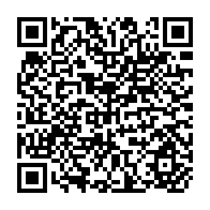 QR Code for Report on the Role of Experts in Development Co-operation
