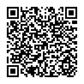 QR Code for Research Directions in Income Distribution, Nutrition, and the Economics of Food