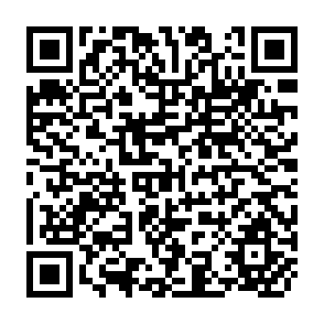 QR Code for Research Directions in Income Distribution, Nutrition, and the Economics of Food