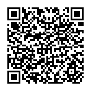 QR Code for Technological Change in Agriculture and Employment in Developing Countries