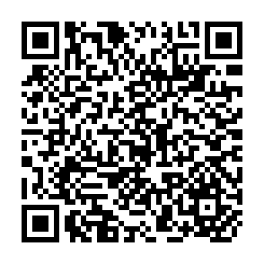 QR Code for Development Studies Centre