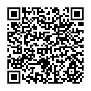 QR Code for Review of the Agricultural Situation in Europe at the End of 1976