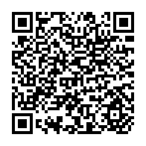 QR Code for Review of the Agricultural Situation in Europe at the End of 1976 Volume II Dairy Products, Eggs