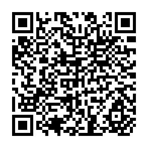 QR Code for Policy Analysis in Local Government