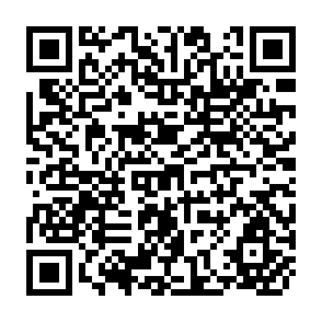 QR Code for An Intersectoral and Sequential Analysis of Migration Decision : Philippines