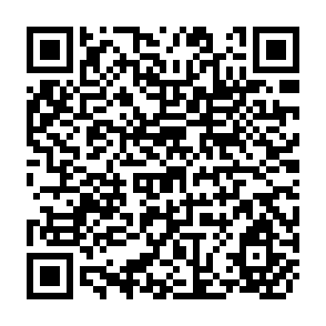 QR Code for The Informal Sector in The Greater Manila Area, 1976: An Overiew