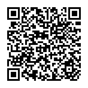 QR Code for Planning the Location of School: An Instrument of Educational Policy